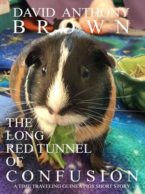 cover image of The Long Red Tunnel of Confusion